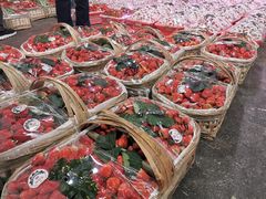-双福水果批发市场