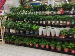-大润发(张江店)