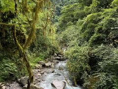 -西岭雪山大飞水景区