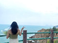-广东惠东海龟国家级自然保护区
