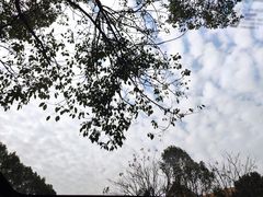 -咸宁万豪温泉谷度假区