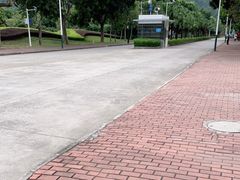 -艾米稻香小镇
