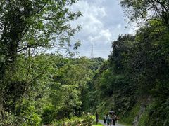 -阳台山森林公园