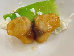 姜葱炒鱼片-轩记海鲜餐厅·四十五年老字号·经典粤菜(西区彩虹店)