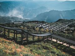 -武陵山森林公园