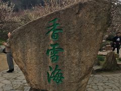 -香雪海