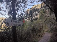 -青龙山生态文化旅游区(慈云寺)