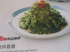 -巴依老爷新疆美食(工体旗舰店)