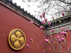 -西安市广仁寺