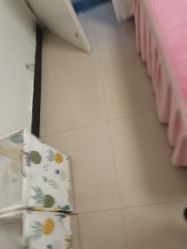 -程氏苗堂苗技养生