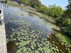 -白马涧龙池景区