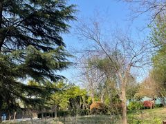 -隋唐洛阳城明堂天堂景区