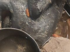 -莞香楼·正宗东莞菜(东升店)