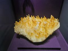 -山东博物馆