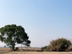 -良渚古城遗址公园