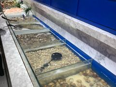 -火锅岛潮牌自助餐厅(天津天佑城店)