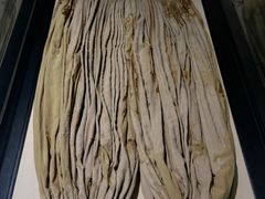 -巴音郭楞蒙古自治州博物馆