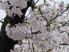 -苏州上方山国家森林公园