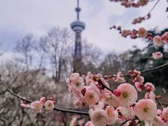 -南京古林公园