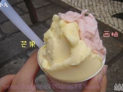 芒果,西柚-柠檬车露(卖草地店)