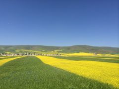 -扁都口生态休闲旅游区