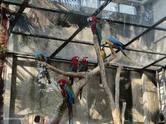 -大连森林动物园