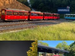 -阿露佳·舌尖上的安吉菜