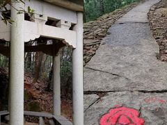 -西湖风景区十里琅珰-五云山