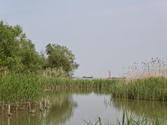 -上海吴淞炮台湾国家湿地公园