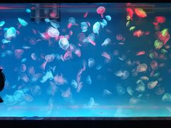 -多彩贵州城极地海洋世界