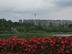-洛龙公园