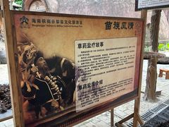 -海南槟榔谷黎苗文化旅游区