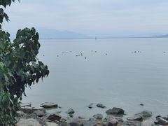 -深圳湾公园(南山区)