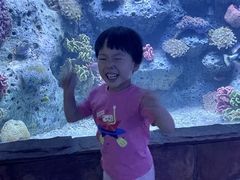 -左海海底世界