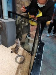 -酷嗒动物文化乐园(cutezoo西溪乐天城店)