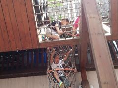 -中国福利会少年宫