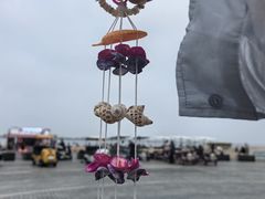 -秦皇岛新澳海底世界