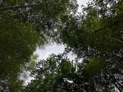 -南山风景名胜区