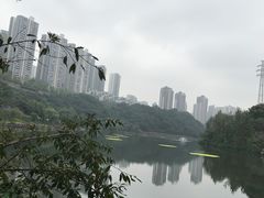 -重庆彩云湖湿地公园