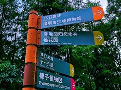 -深圳仙湖植物园