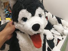 -宜家家居(哈尔滨商场店)