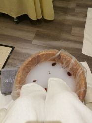 -奥斯芬欧系贵族SPA