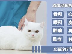 -荔康动物医院(康王北路店)