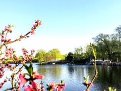 -大兴滨河森林公园