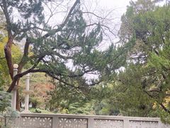 -叶家花园