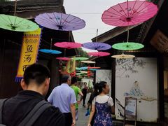 -天目湖山水园