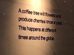 -星巴克(汾阳路店)