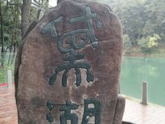 -缙云山景区