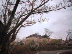 -广富林郊野公园