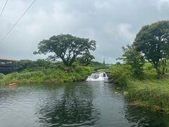 -济州森林小火车生态公园